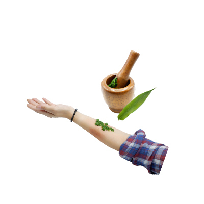 Ramuan tradisional Bisul dari Pakis Sipasan