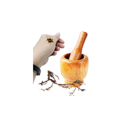 Ramuan tradisional Gatal dari Mentawan