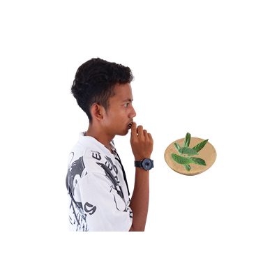 Ramuan tradisional Muntah mencret dari Bayam Hutan