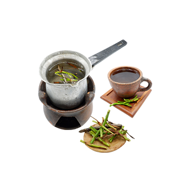 Ramuan tradisional Meredakan demam dari Kantung Semar Termos