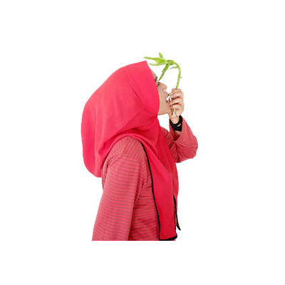 Ramuan tradisional Sakit gigi dari Anggrek Kalajengking