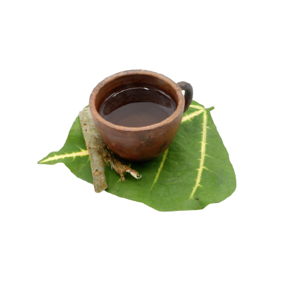 Ramuan tradisional Demam dari Dadap Ayam