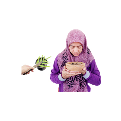 Ramuan tradisional Meredakan penyakit radang selaput lendir hidung dari Paku Wangi