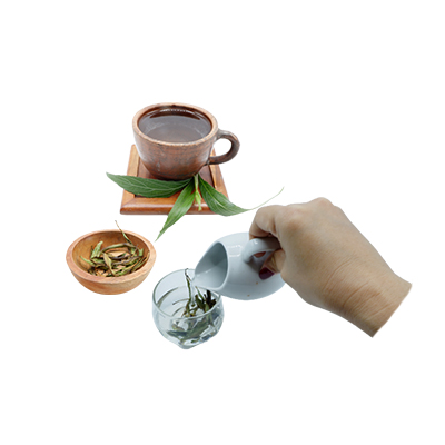 Ramuan tradisional Mengatasi diabetes dari Bunga Kencana Ungu