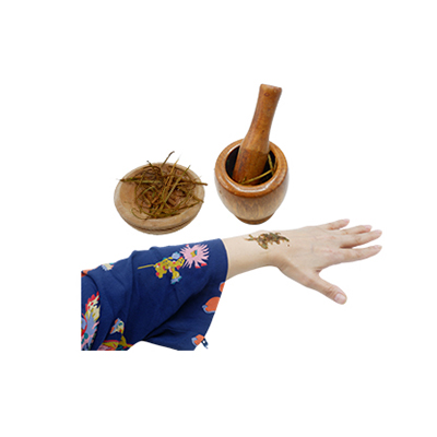 Ramuan tradisional Mengobati luka dari Matoa