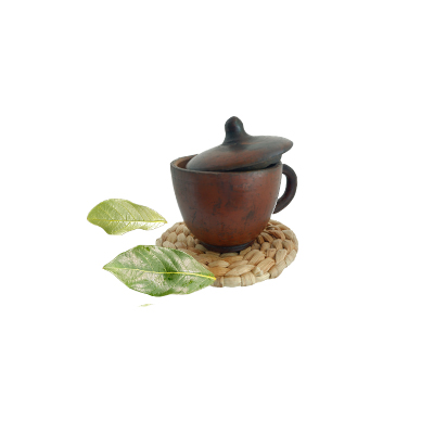Ramuan tradisional Mengobati diare dari Buah Salju
