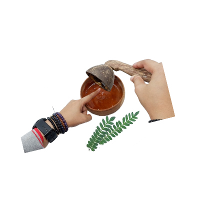 Ramuan tradisional Menyembuhkan luka dari Jakaranda