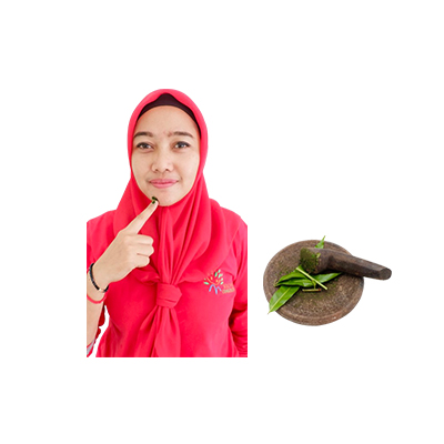 Ramuan tradisional Mengobati jerawat dari Pakis Udang