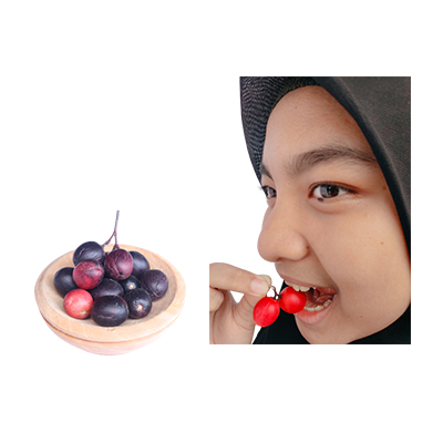 Ramuan tradisional Penyakit kantung empedu dari Buah Renda