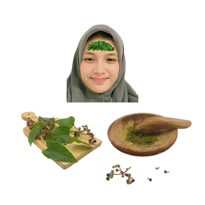 Ramuan tradisional Sakit kepala dari Anggur Hutan