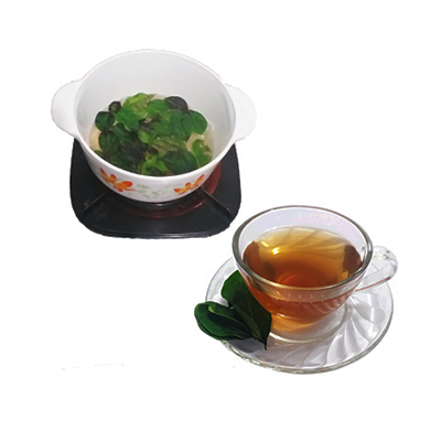 Ramuan tradisional Meredakan demam dari Buah Tinta
