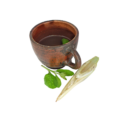 Ramuan tradisional Asma dari Beluntas