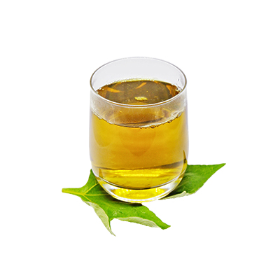 Ramuan tradisional Obat diabetes dari Daun Insulin