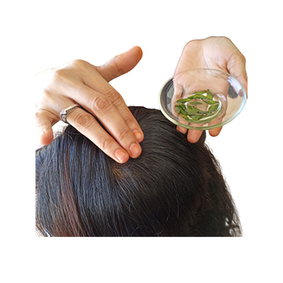 Ramuan tradisional Masker daun kari (mencegah rambut beruban dini) dari Daun Kari