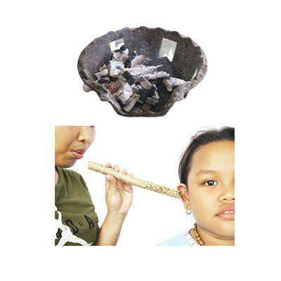 Ramuan tradisional Sakit telinga dari Jarak Kepyar