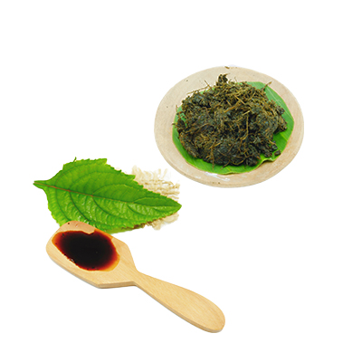 Ramuan tradisional Mengatasi diare dari Daun Pusar