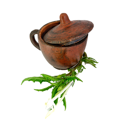 Ramuan tradisional Kanker dari Kitolod
