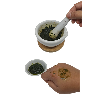 Ramuan tradisional Gangguan kulit (luka, jerawat, bisul, radang, infeksi) dari Jelantir