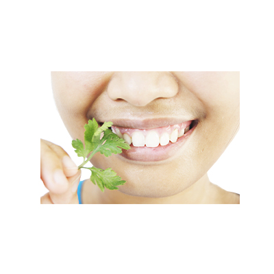 Ramuan tradisional Mencegah migrain dari Feverfew