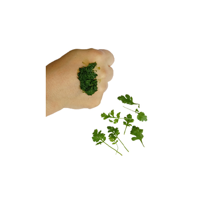 Ramuan tradisional Obat luka dari Feverfew