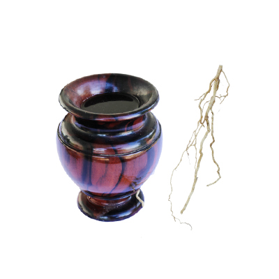 Ramuan tradisional Antiseptik dari Pare Belut
