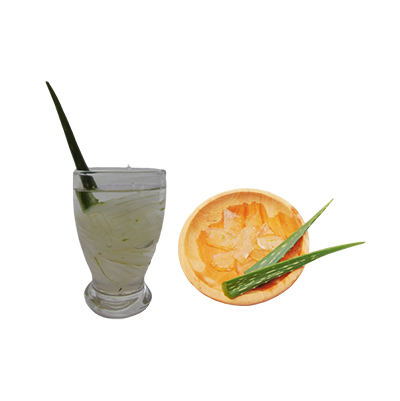 Ramuan tradisional Menjaga kesehatan pencernaan (asam lambung/maag) dari Lidah Buaya