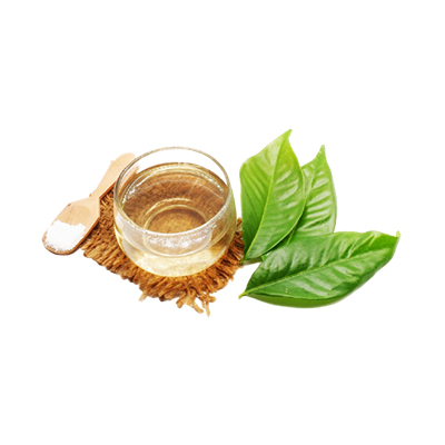 Ramuan tradisional Diare dari Daun Salam