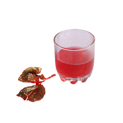 Ramuan tradisional Demam dari Begonia