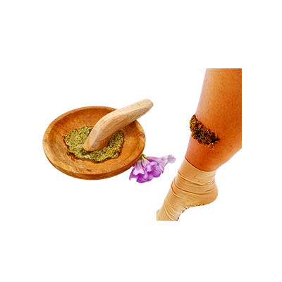 Ramuan tradisional Mengurangi bengkak dari Stepanot Ungu