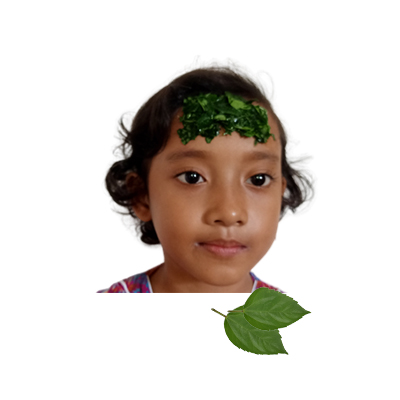 Ramuan tradisional Demam dari Bunga Sepatu