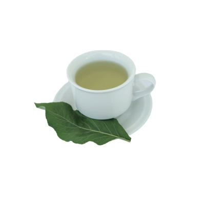 Ramuan tradisional Asam urat dari Daun Afrika