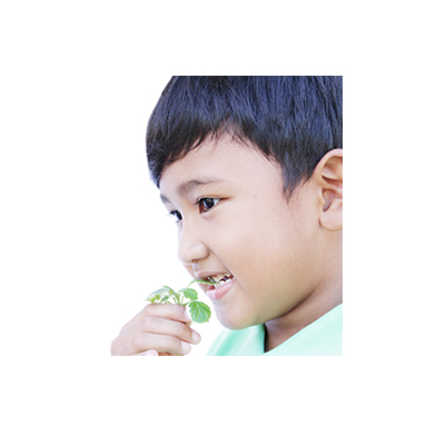 Ramuan tradisional Sariawan dari Daun Jintan