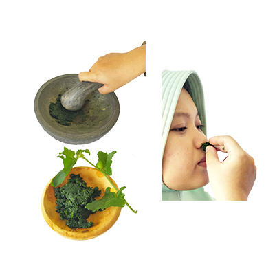 Ramuan tradisional Mimisan (perdarahan pada hidung) dari Indian Pumpkins