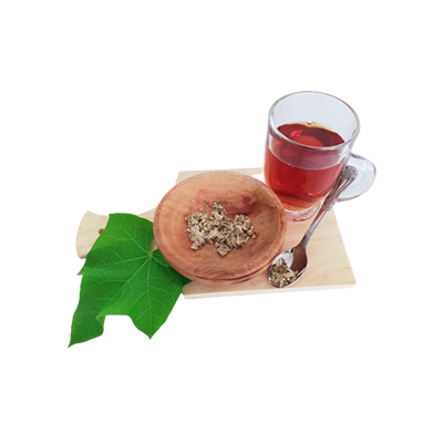 Ramuan tradisional Obat KB dari Jarak Pagar