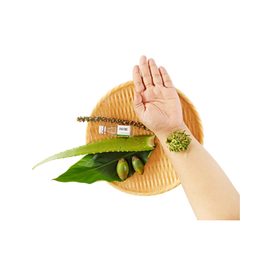 Ramuan tradisional Obat luka dari Kecombrang