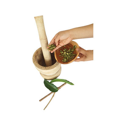 Ramuan tradisional Sakit pungung dari Kenari