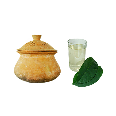 Ramuan tradisional Asam urat dari Kepel