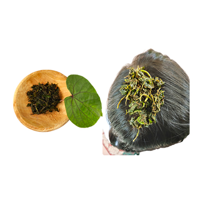 Ramuan tradisional Penyubur rambut dari Waru