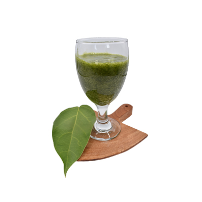 Ramuan tradisional Minuman cincau batang menurunkan tekanan darah pada wanita penderita hipertensi dari Cincau Batang