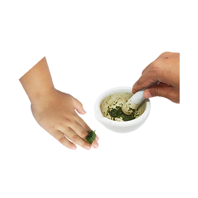 Ramuan tradisional Obat luka dari Rumput Paitan