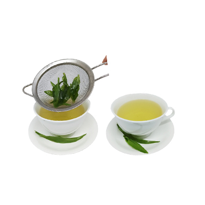 Ramuan tradisional Demam dari Rumput Paitan