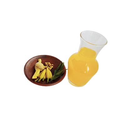Ramuan tradisional Kencing nanah dari Cempaka Kuning
