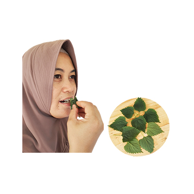 Ramuan tradisional Sakit gigi dari Celangking