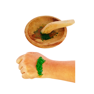 Ramuan tradisional Gigitan ular dan bisul dari Daun Encok
