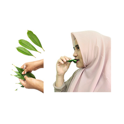 Ramuan tradisional Untuk pencahar dari Bintaro