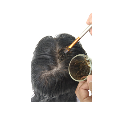 Ramuan tradisional Mewarnai rambut dari Pacar Kuku