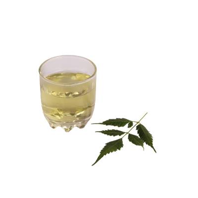 Ramuan tradisional Stamina tubuh dari Mindi Kecil