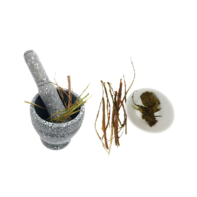 Ramuan tradisional Demam atau bisul dari Mulwa