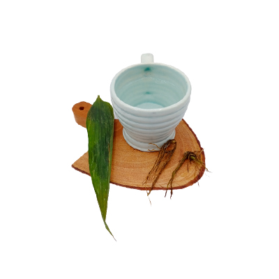 Ramuan tradisional Radang saluran air seni dari Rumput Bambu