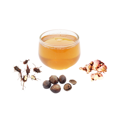 Ramuan tradisional Analgetik dari Rumput Teki